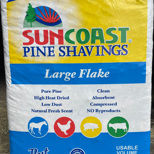 Pine shavings