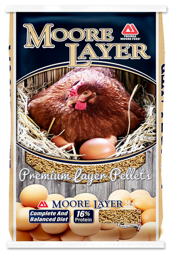 Thomas Moore 16% Layer Pellets